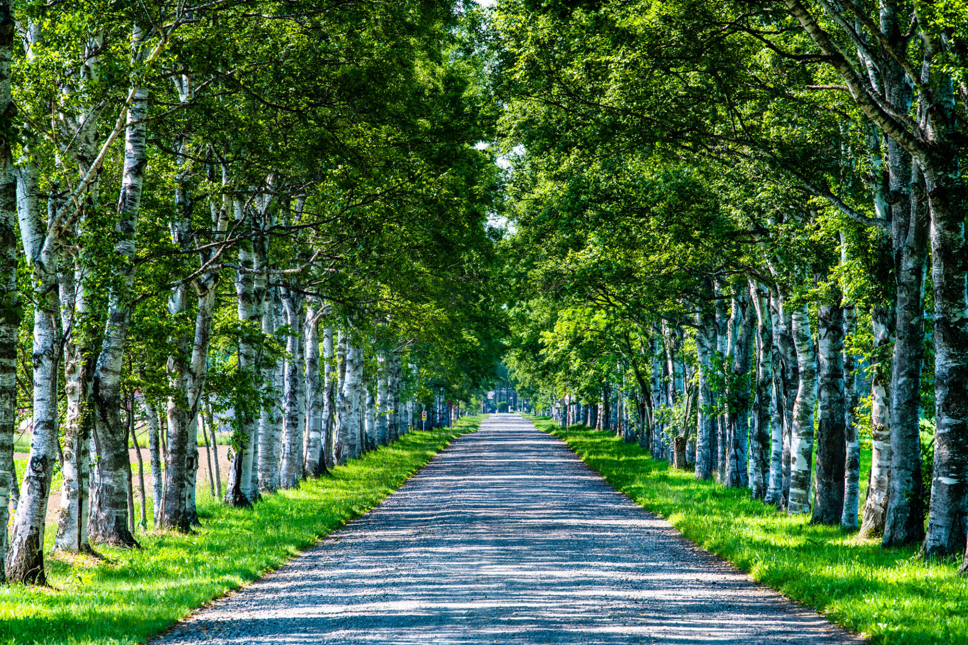 連続テレビ小説「なつぞら」 十勝の旅 モデルコースをご紹介！