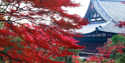 日野誕生院 京都市伏見区親鸞聖人生誕の地: お寺の風景と陶芸