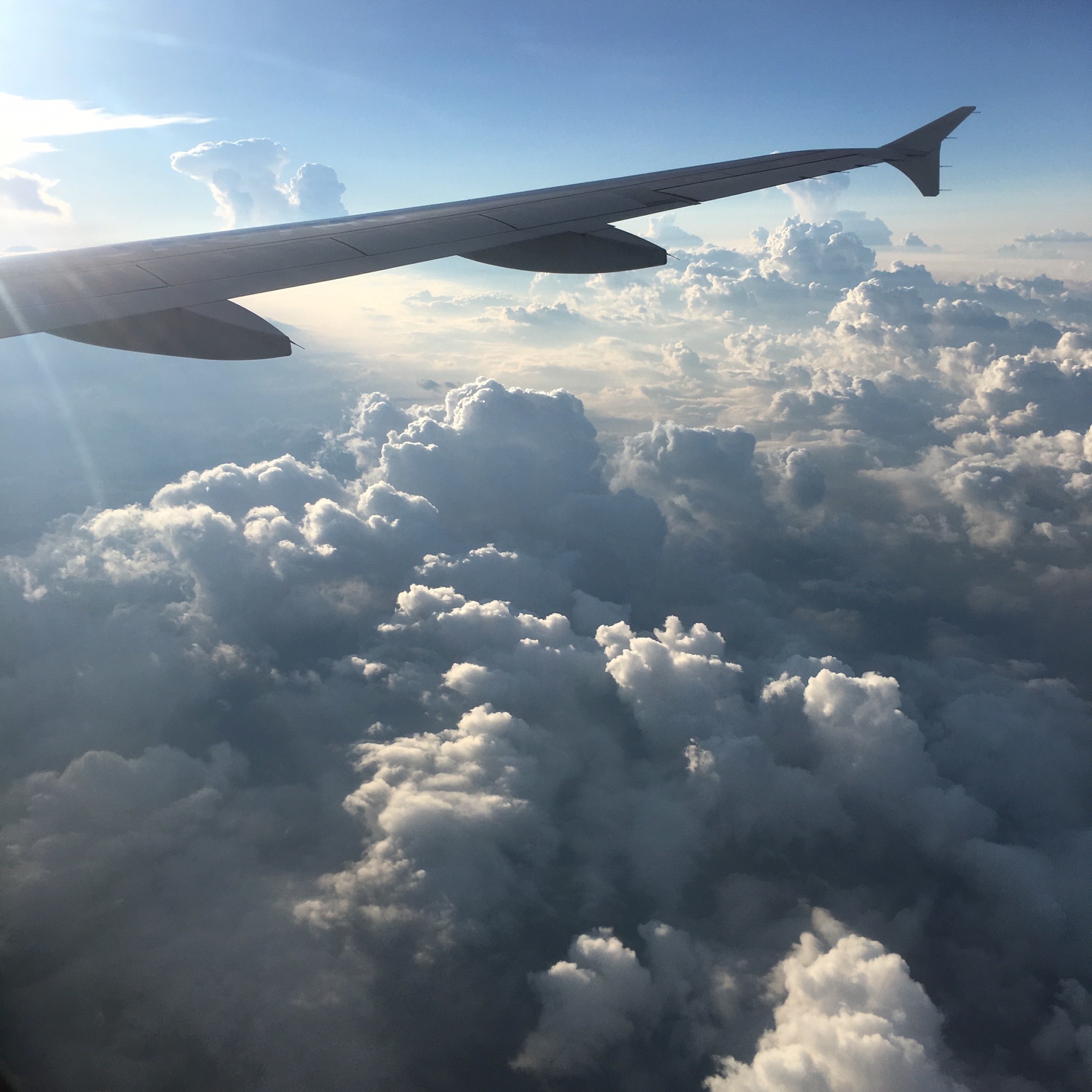 来年はどんな景色を見る？飛行機から見えた風景 2022年FlyTeam ニュース