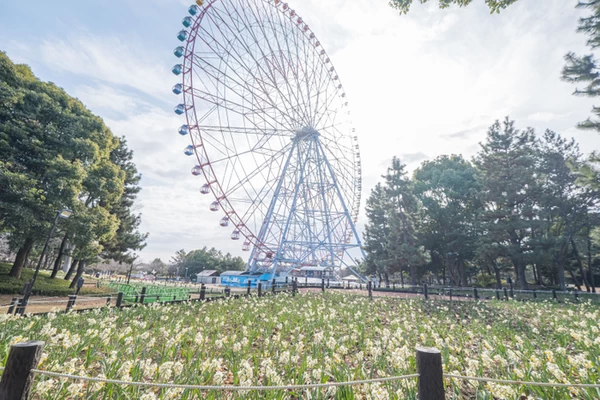 蜷川実花や落合陽一らが参加する新たなアートイベントが葛西臨海公園で開催