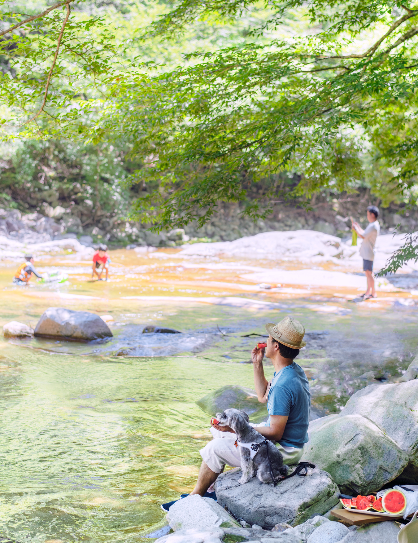 Megumi Nakanoさんの投稿 吉野川ことりっぷ