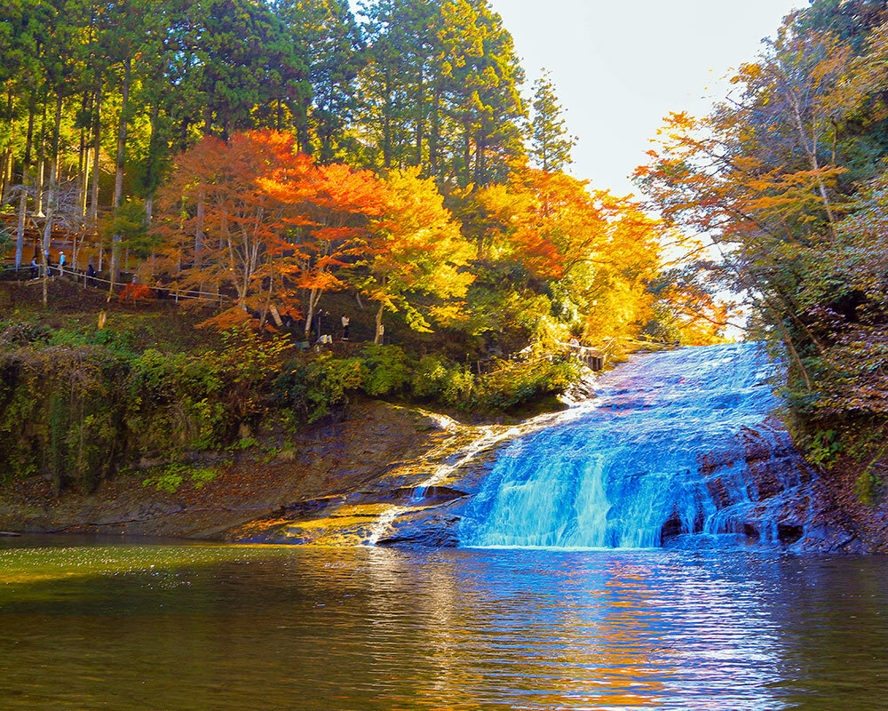 晩秋の養老渓谷散策の旅 粟又ノ滝から養老渓谷駅までLaugh and grow fat