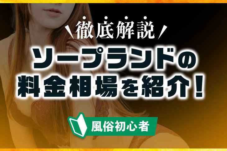 ピンサロの値段は？相場や遊び方、他風俗ジャンルの値段と徹底比較！ | purozoku[ぷろぞく]