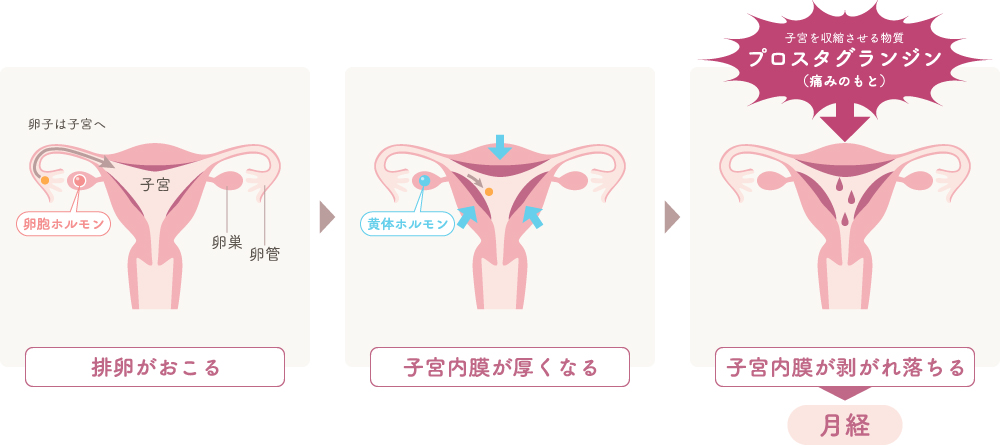 痩せたいのに太っていく17の原因と太らない対策【食事編・生活習慣編】