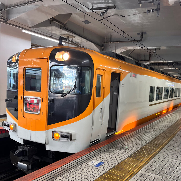 近鉄特急 ひのとり ・ ビスタカー