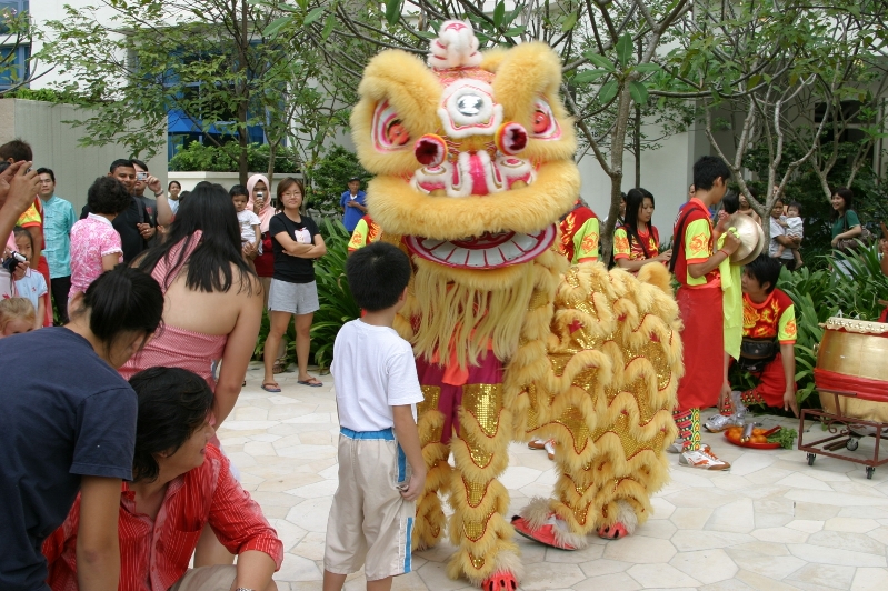 旧正月を祝うライオンダンス 知りたい！現地の暮らし