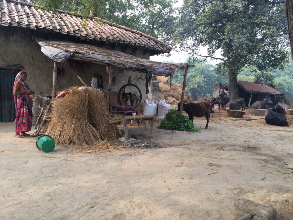 インド デリーNCR 家探しのポイントとこれまであった家トラブルPieceofcake