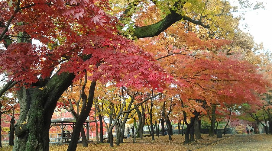 祝！開業50周年記念事業！『もりおか歴史文化館』で『盛岡城跡公園地下駐車場』開業50周年記念イベント『盛岡城跡公園地下駐車場開業50周年写真展』開催！12月1日～12月27日。: もりおか通信 - 岩手県盛岡市の地域情報サイト