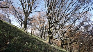 吉野川上流でのアユ釣り映像撮影 123号特集- 徳島県立博物館