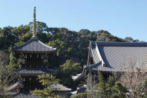 高野山麓 橋本新聞 » 神々しい蓮と睡蓮の花盛り♡大阪・貝塚の水間観音～橋本の参拝・観光客も心和ませ合掌