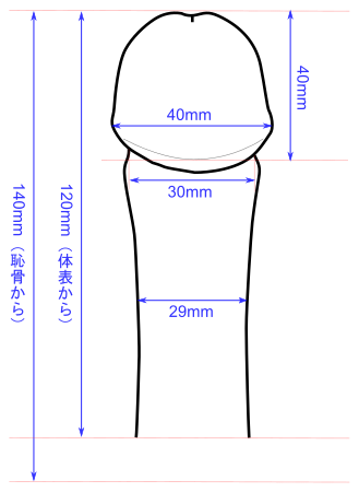 チンコの反りと硬さには自信があります