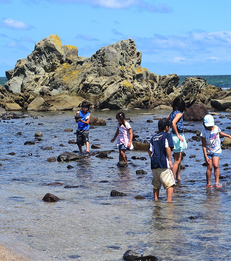 沖縄で磯遊びするならここ！干潮を狙って熱帯魚をつかまえちゃお！沖縄トラベル