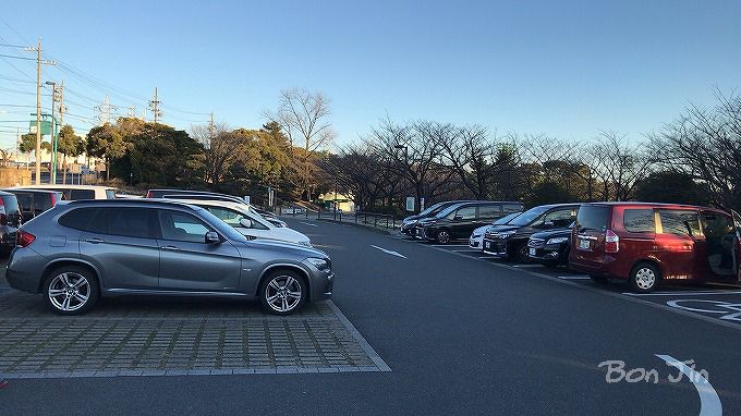 大池公園 子連れで楽しむ！遊具にピクニック、桜の花見、駐車場情報についてまめピヨblog