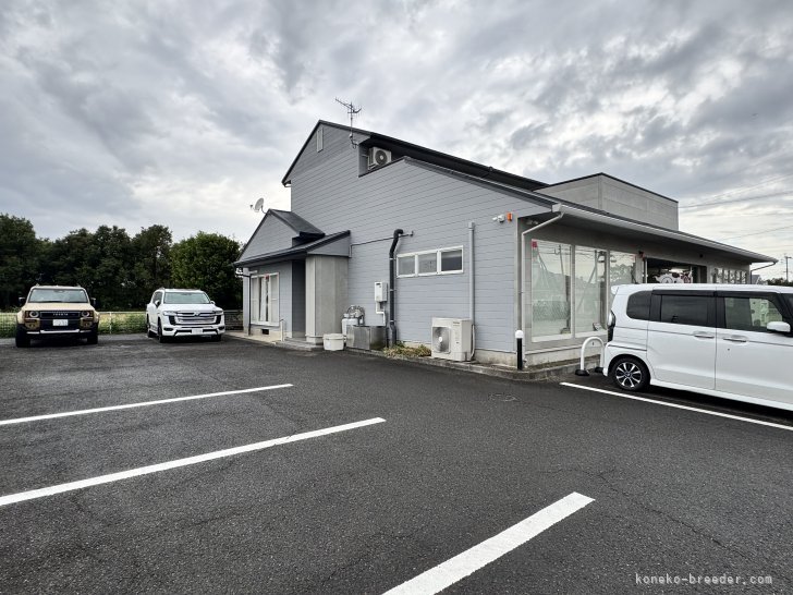 小田原・熱海の建築巡りしてきたー！ 海もあり、山もあり、自然豊かな地形に美しいく綺麗な建築が沢山あります！✨ 車でドライブでも、電車でも行けちゃう！