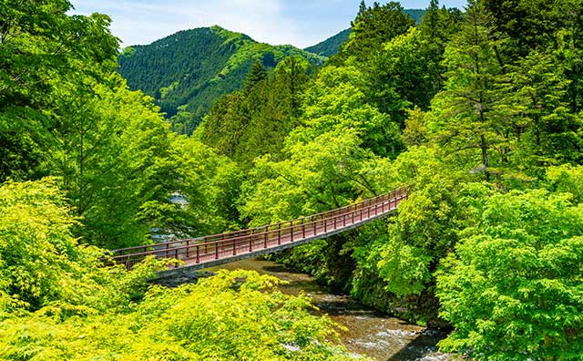 夏休みのおでかけに！関東のおすすめスポット16選 - Relux Journal