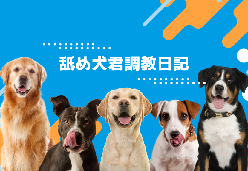 私の舐め犬クン : 舐め好きクンニリストの妄想