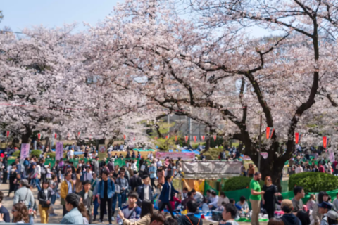 上野恩賜公園のお花見攻略法！立ち寄りグルメも大充実 - ウォーカープラス