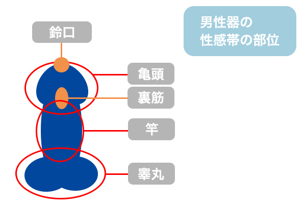 相手との“信頼度”で感度が変わる!?連想性感帯とは何ぞや｜BLニュース ちるちる