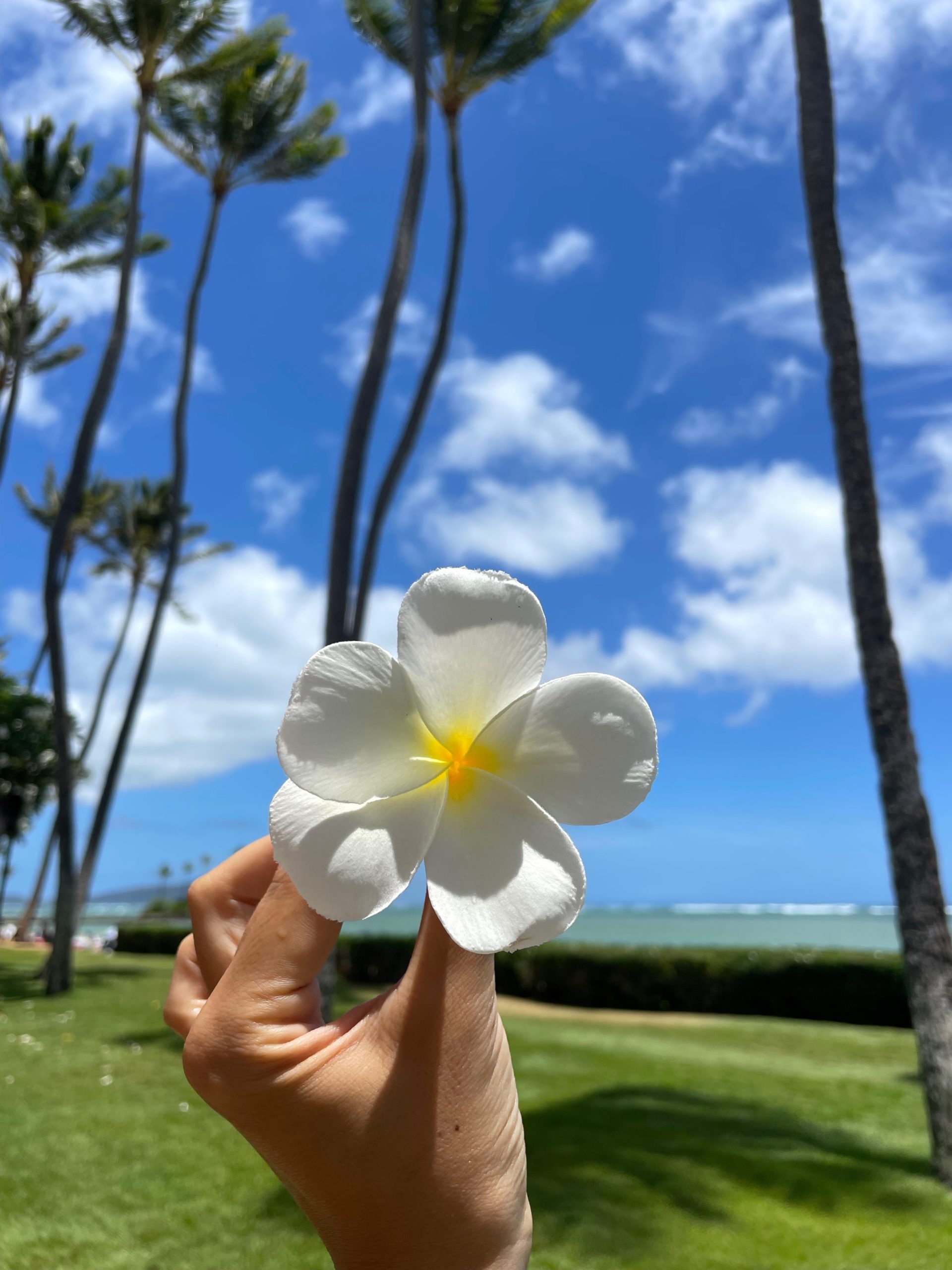 vol.286 スウィート ハワイ最新不動産ニュースサイト「R.E.port」