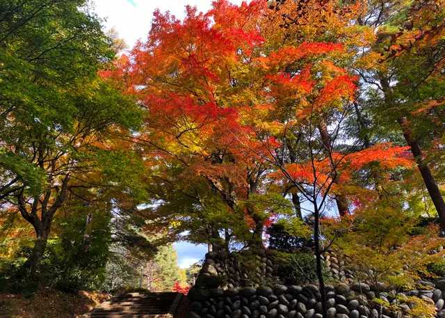 寺家公園のクチコミ一覧 - じゃらんnet