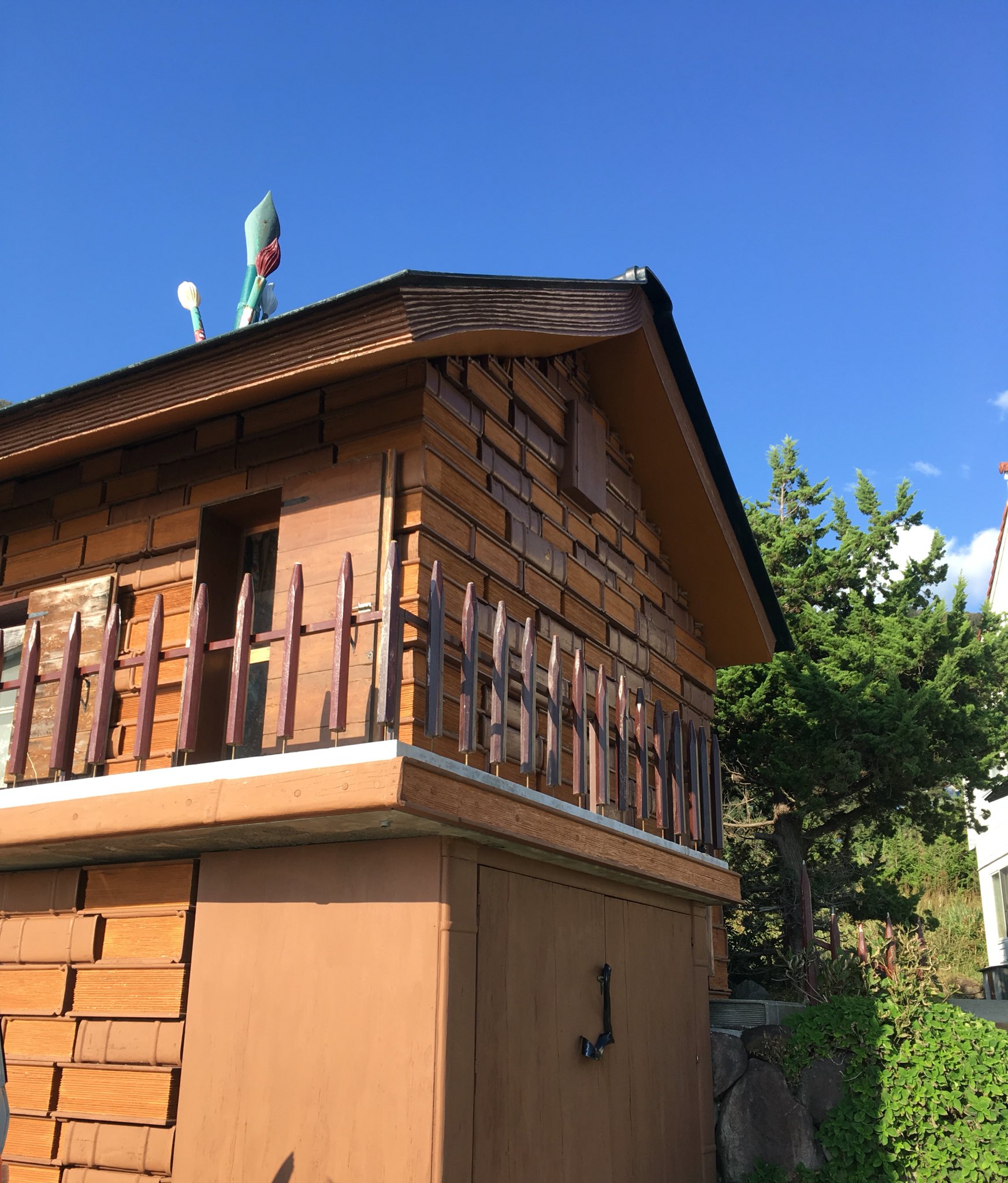 コスタ デル ソル！ : はしもとみおのナマケモノ日記