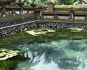 バリ 水のお寺！ティルタウンプル寺院で沐浴に挑戦Trip.com バリ島