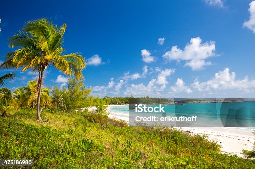 2025年 Glass Window Bridge -