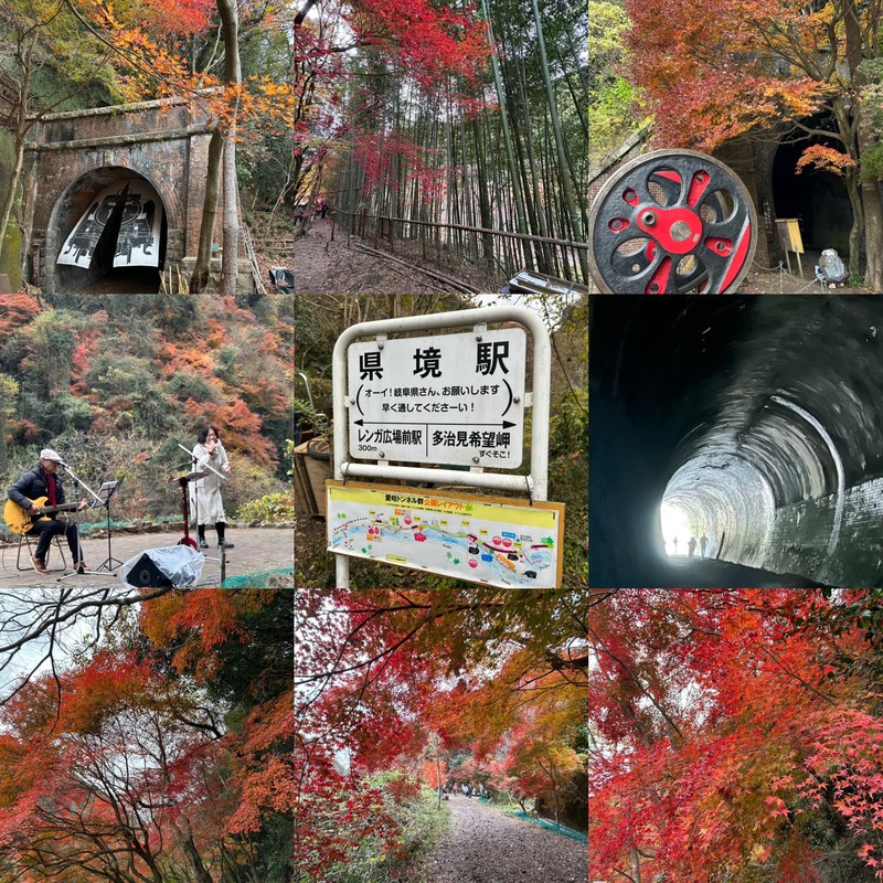 廃線跡の秘境で観る美しい紅葉！『愛岐トンネル群』秋の一般公開名古屋情報通