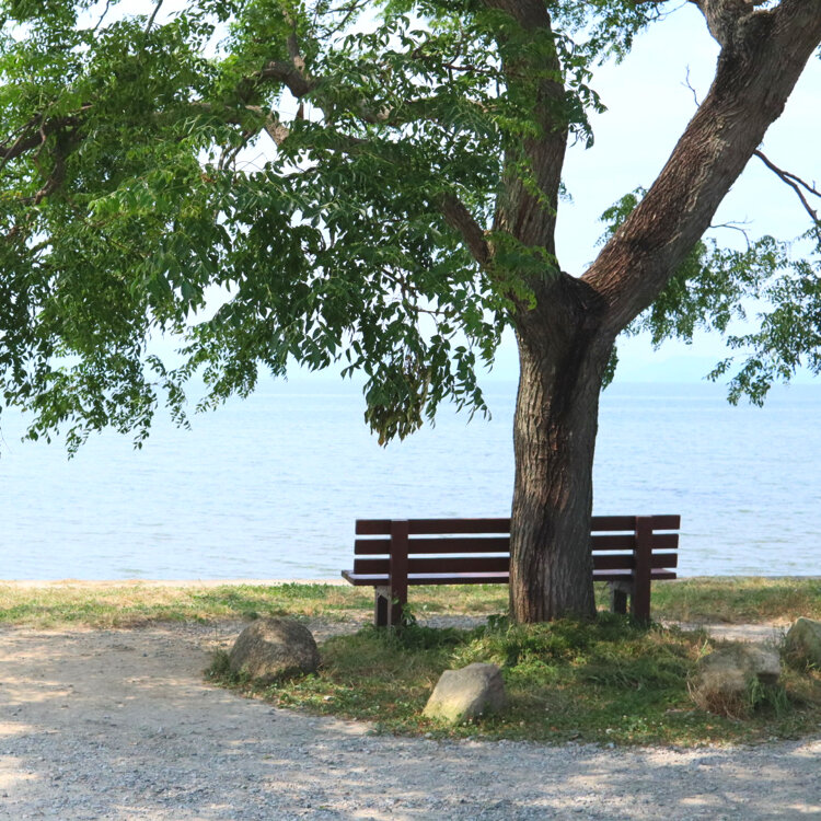 あのベンチTrip.com 彦根