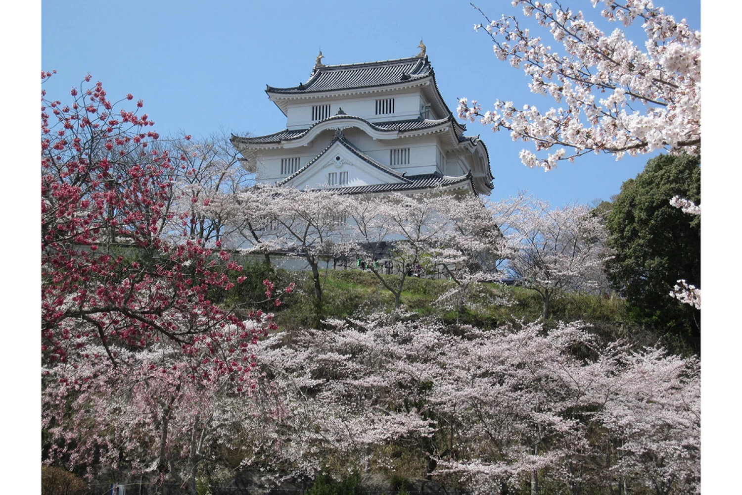 2020冬 千葉４：大多喜城と房総の小江戸と呼ばれる城下町の大多喜』いすみ・大多喜 千葉県