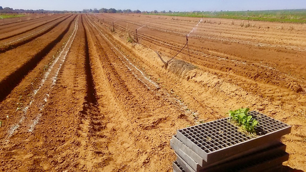 家も庭も自分たちで手を加えていく。南オーストラリアの田舎暮らしみんなの暮らしDolive ドライブ
