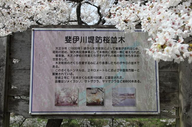 雲南市桜まつり木次クチコミ・アクセス・営業時間木次・雲南 フォートラベル