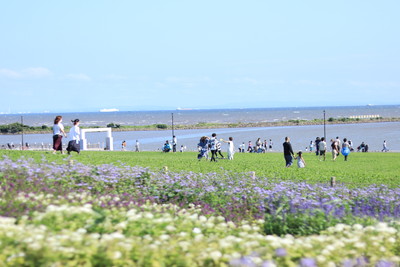 海とつながる。アートをめぐる。― Harmony with Nature