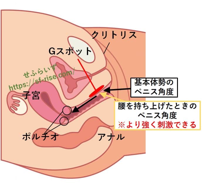 騎乗位とは？ セックスでのやり方を画像で解説 |