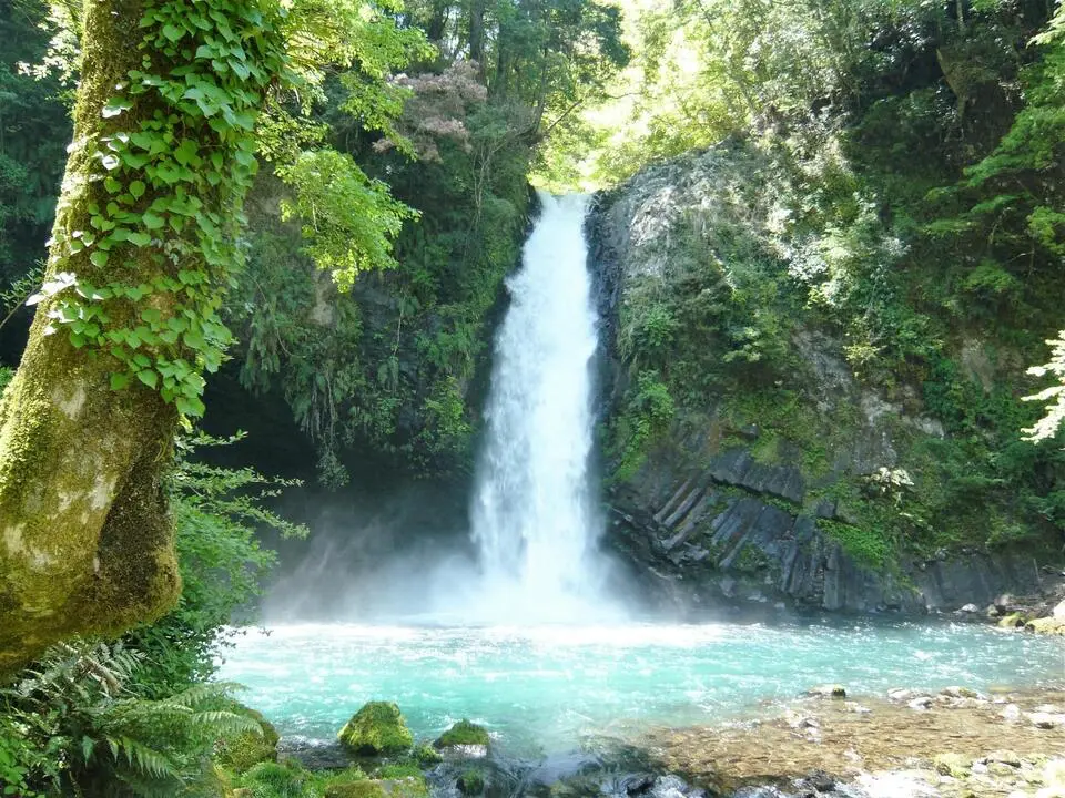 静岡県のドライブスポット10選！自然・絶景・夜景・グルメなど友人・デートで行きたいおすすめスポット楽天カーシェア
