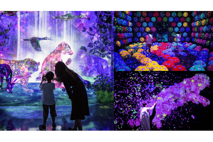 チームラボフォレスト 福岡 － SBI証券：九州エリアおでかけガイド：JRおでかけネット