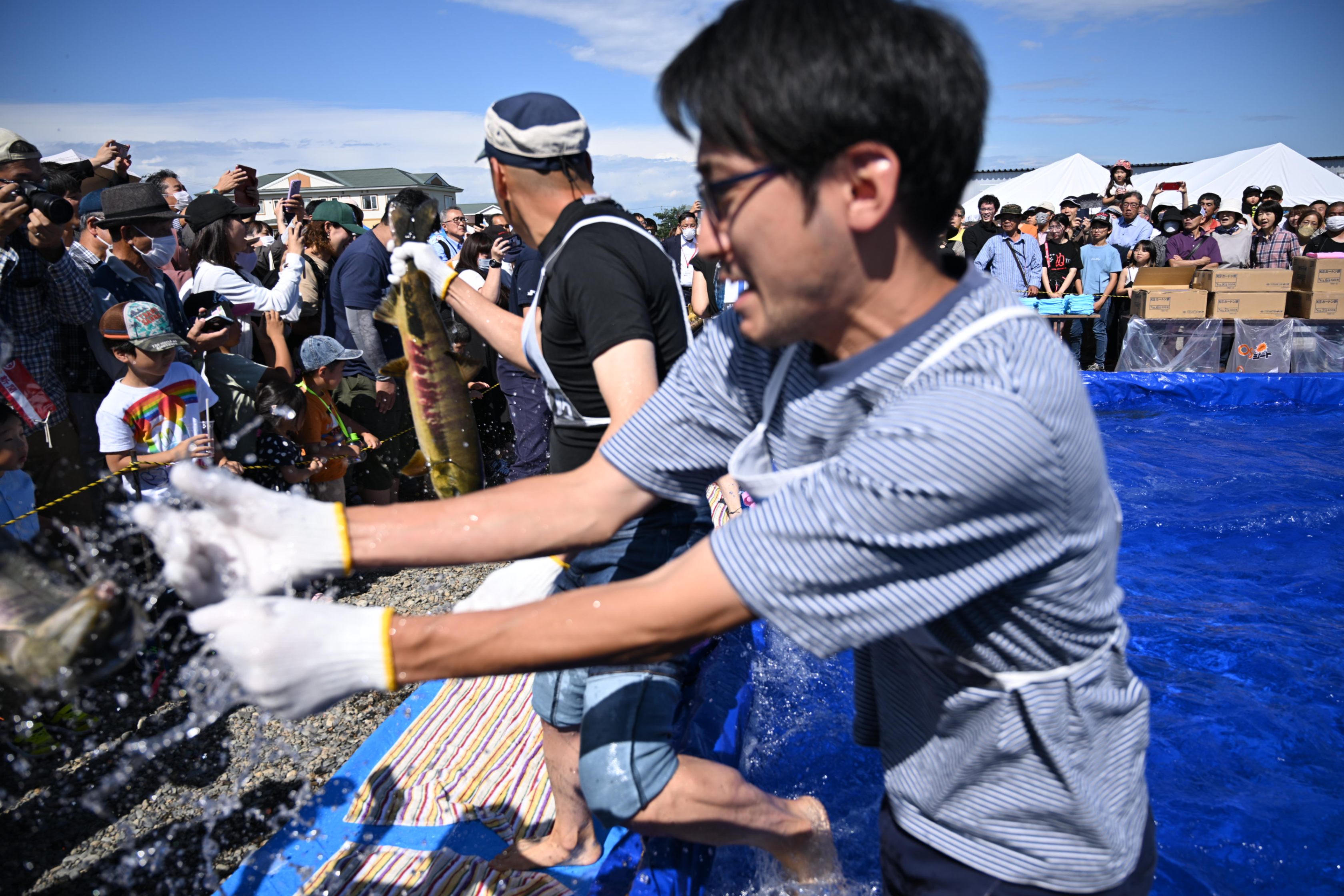 今年も秋味の季節がやってきた！ 9月21日に「とよころ産業まつり」開催 -