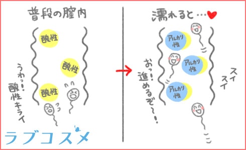 濡れやすい体質の女の子は意外と多い？女性が濡れるメカニズムや方法について解説