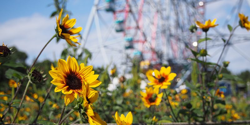 花と光のムーブメント【葛西臨海公園】│千葉県の人気イベント│旅色