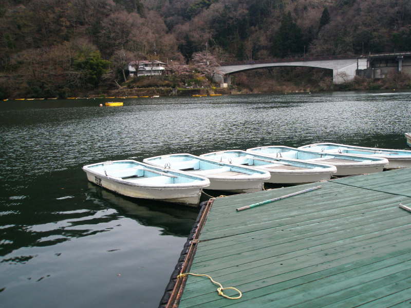 スワンボートでいく湖上ピクニック」募集開始。 - NPO法人地球野外塾みんなの自然体験