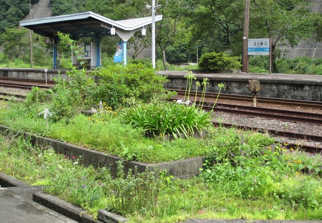 高知 ローカルな電車ならでは？全員に途中下車をさせてくれた駅📸Miki 癒やし旅マガジンが投稿したフォトブックLemon8