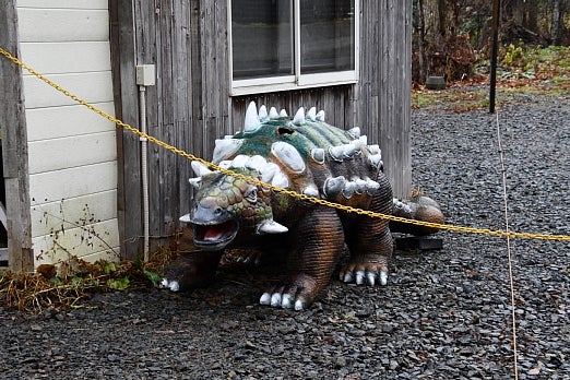 7泊8日 車中泊カーで行く北海道旅 ノースサファリサッポロでもふもふの楽園編！人生雑貨
