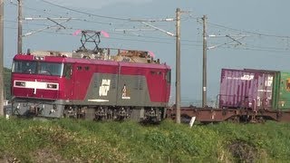 金太郎と桃太郎＠JR貨物の電気機関車: letuce's room