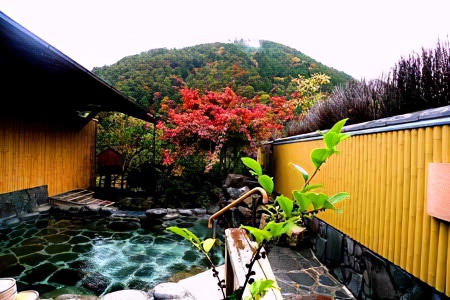 温泉大浴場下呂温泉 小川屋 公式