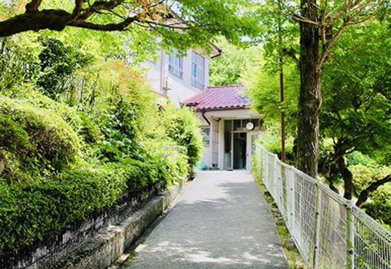 さくらやまなみバス旅と美女と鉄道と