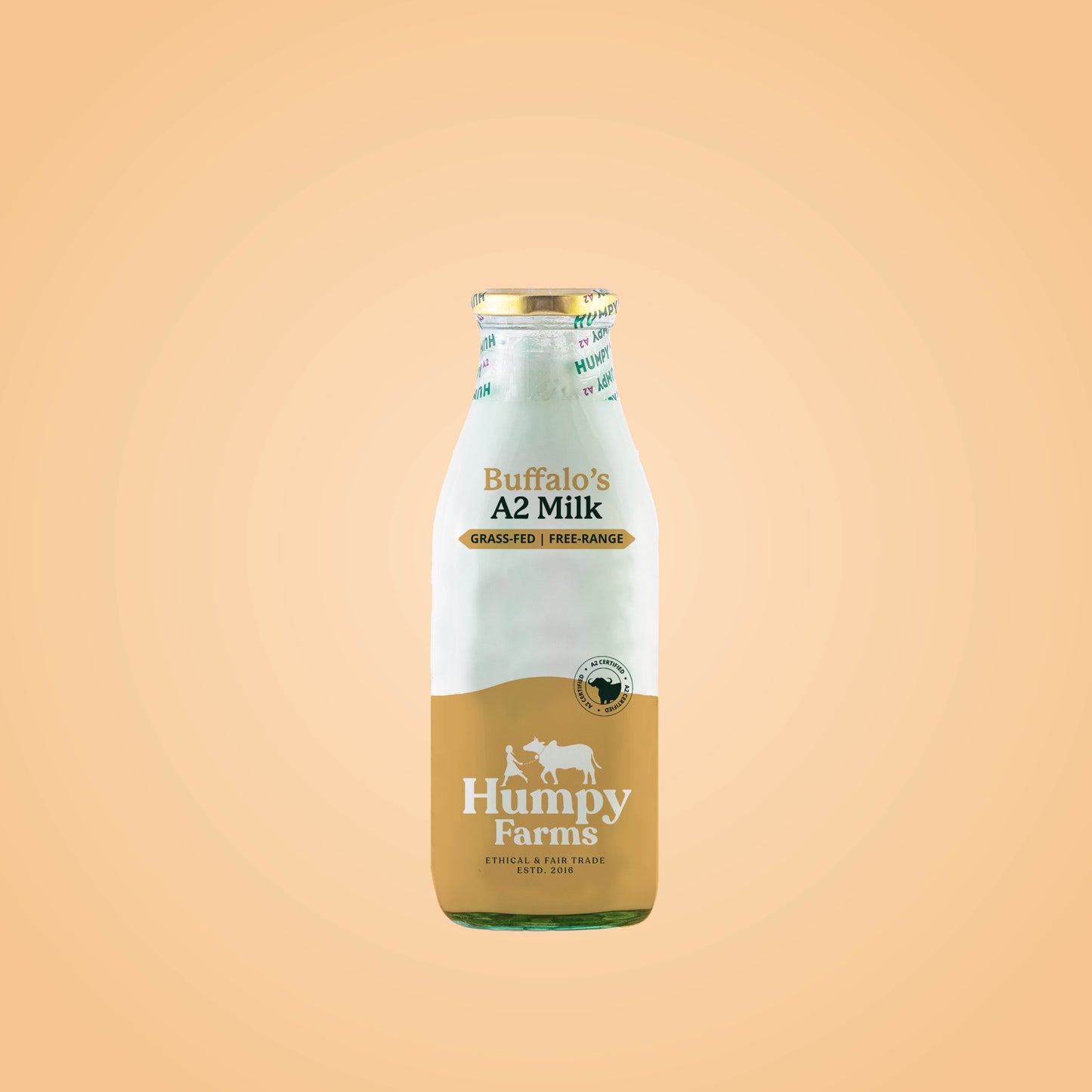 Ultra-High-Temperature Processing of Milk