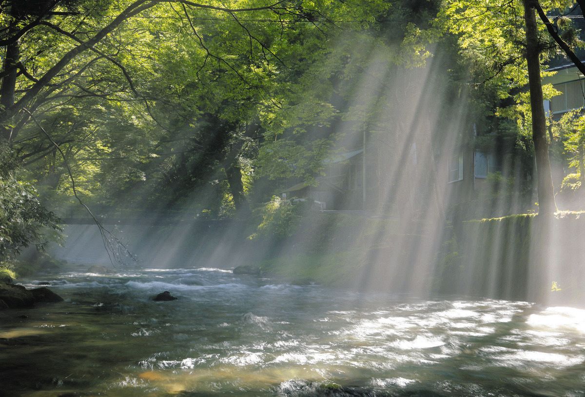 岐阜の円原川伏流水で新緑・光芒が見れる季節と時間Nippon Photo Net