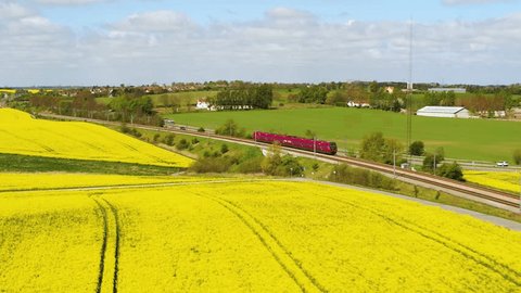 Lyoデンマーク 2012 年 7 月