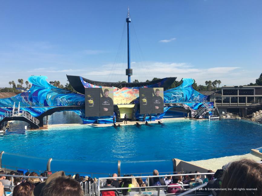 サンディエゴシーワールド チケットKlook