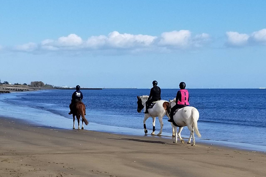 ふるさと納税乗るだけの乗馬から、馬と一緒に楽しむ乗馬へ 三浦の